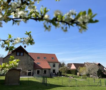 3-Zimmer-Wohnung mit Terrasse & Garten – ruhige Lage - Foto 1