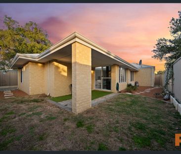 Walk your dog to the beach! - Photo 5