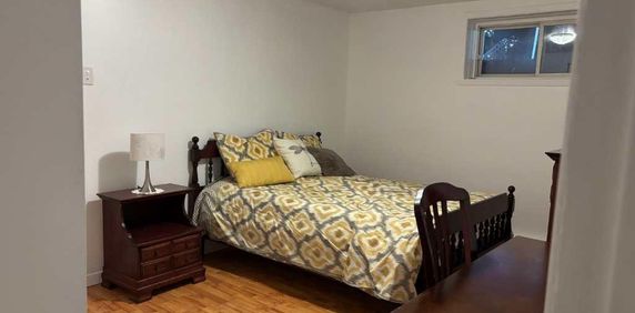 MEUBLÉ ou non meublé, 4 1/2 rénové, propre, centre-ville, UQTR, CÉGEP, commodités, 1100$ - Photo 2