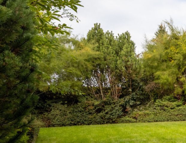 Warszawa, Wilanów, Wilanów Zawady - Фото 1