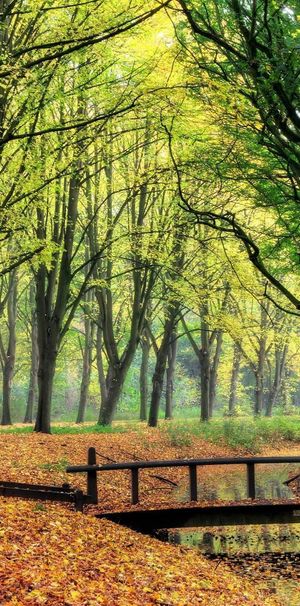 Marne 4 1186 NZ Amstelveen - Foto 1