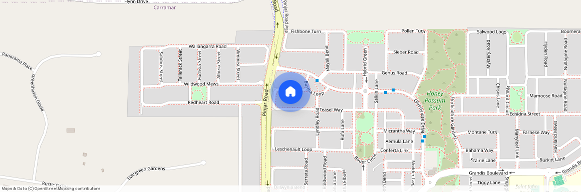 11 Teasel Way, BANKSIA GROVE WA 6031