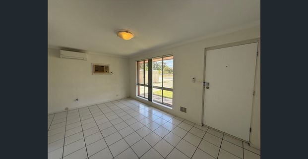 Spacious backyard - Photo 1