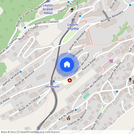 1854, Leysin, Chemin des Fenives, 11