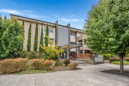 Light-Filled One Bedroom Apartment in Prime Woden Location - Photo 2