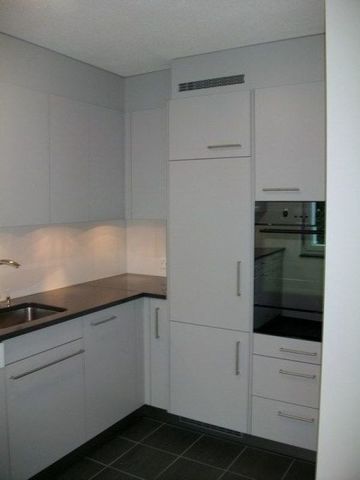 2-Zimmer-Wohnung in Schlieren zu vermieten - Photo 4