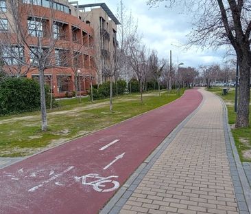 Loft de alquiler en Avenida Isla Graciosa, Polígono Industrial Norte - Photo 1