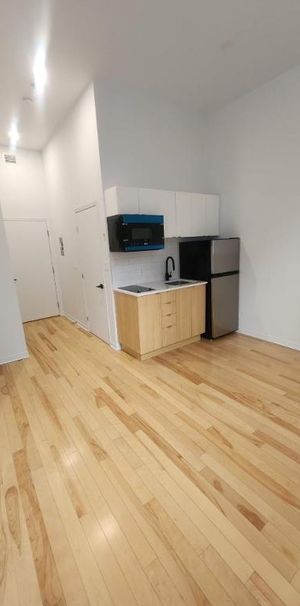 1 CH - 1 SDB - Montréal - $1,195 /mo - Photo 1