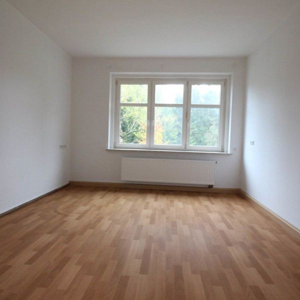 Großzügige 3-Raum-Wohnung in Breitenbrunn zu vermieten - Foto 1