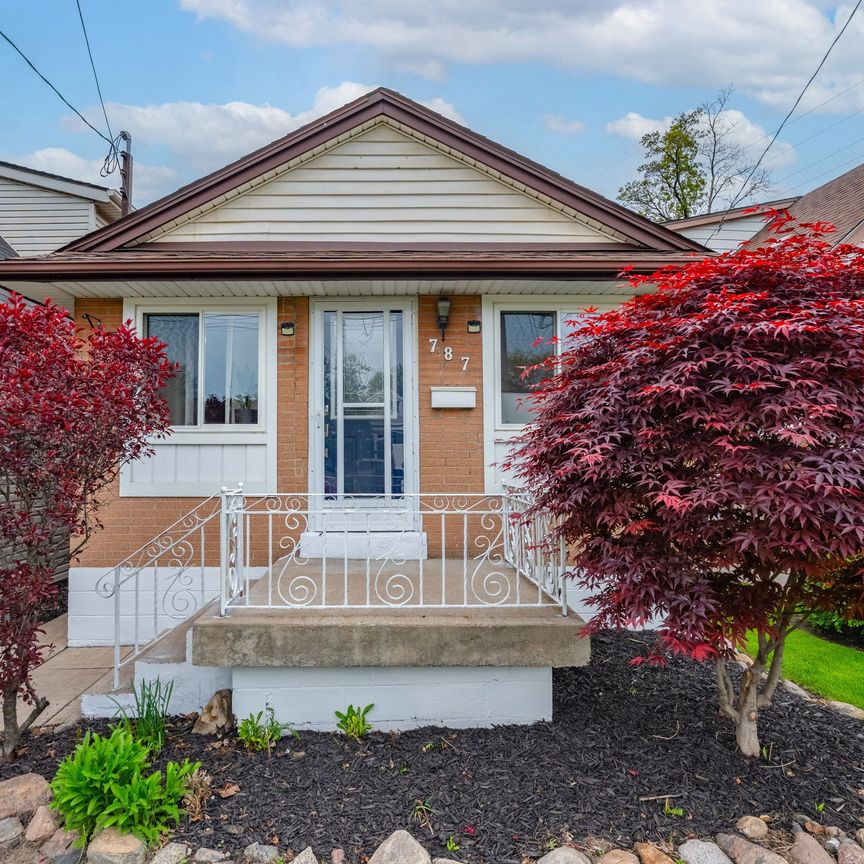 For Lease - 787 Knox Avenue, Hamilton, Ontario - Photo 1