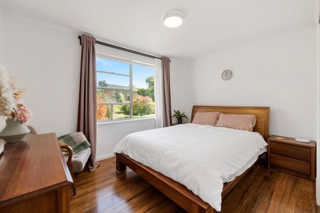 Updated Red Hill Apartment - Photo 4