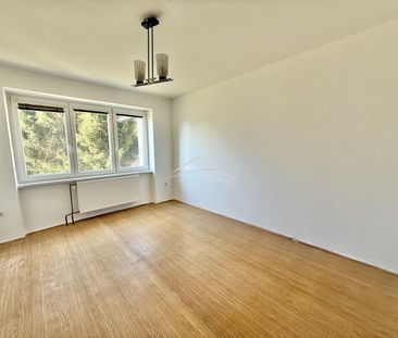Pronájem bytu 2+1 58 m² - Fotografie 1