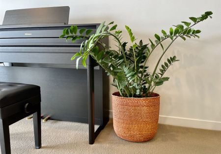 Two Bedroom Central City Apartment - Photo 4