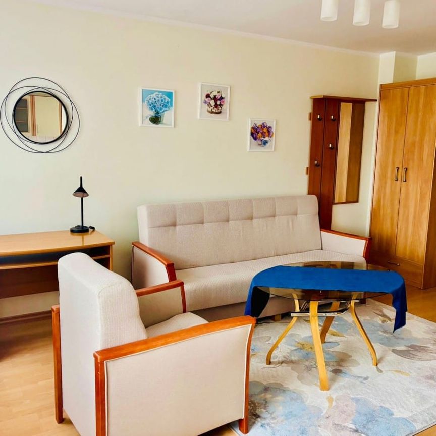 Mieszkanie do wynajęcia 1 pokoje Stanisława Szczepanowskiego, Poz 28.8 m² - Фото 1