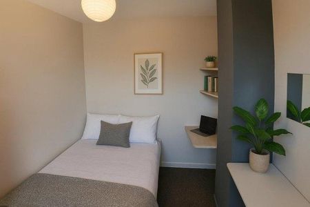 3 bedroom house share to rent - Photo 3