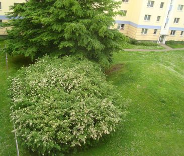 WG Zimmer zu vermieten - Photo 1