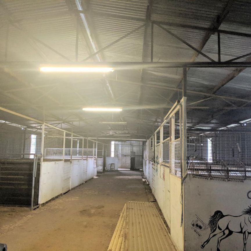 Beautiful Country Home - Photo 1