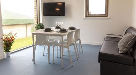 1 bedroom in a flat share to rent - Photo 4