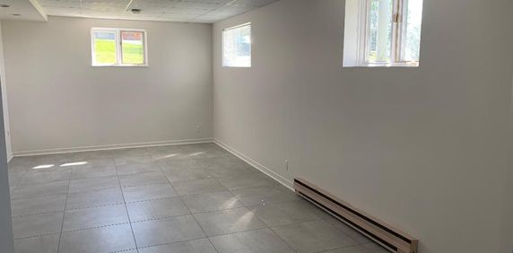 St-Joseph Beauce --- Logement 3 1/2 - Demi-Sol tres éclairé - Photo 2
