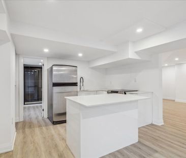 For Lease - 91 Oneida Boulevard Unit# Basement, Hamilton, Ontario - Photo 4