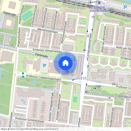 Professor de Moorplein, 248, 5037 DN, Tilburg