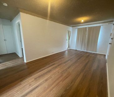 Modern Unit! - Photo 3