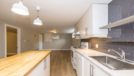 For Lease - 371 Meadowbrook Drive Unit# BASEMENT, Milton, Ontario - Photo 4