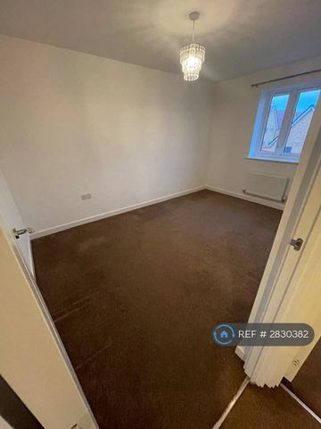 4 bedroom semi-detached house to rent - Photo 3