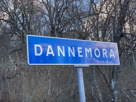 Dannemora: Trea i kulturmiljö - Photo 3