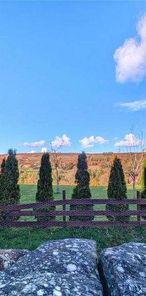 3 bedroom house to rent - Photo 2