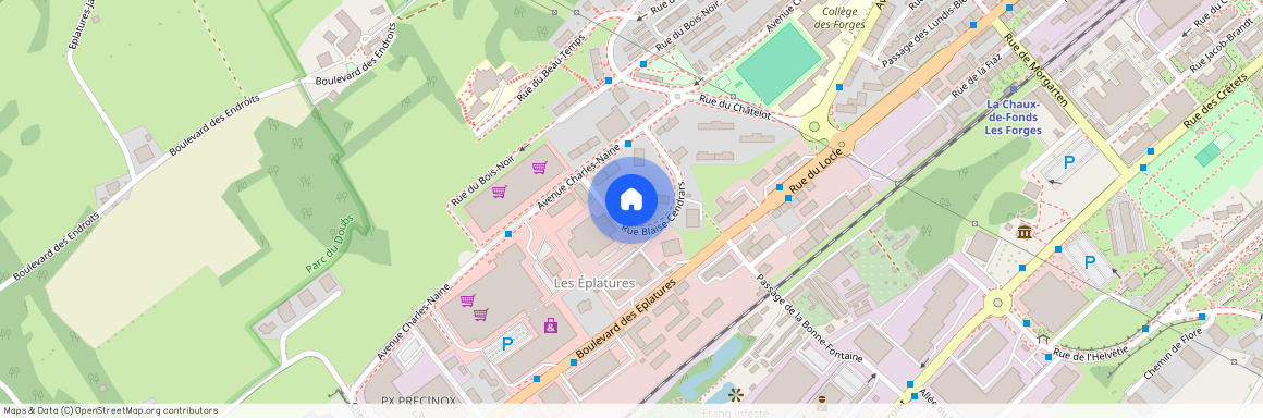 La Chaux-de-Fonds (Rue Blaise-Cendrars 12), Suisse