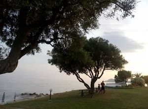Μεζονέτα για ενοικίαση - Κασσάνδρα, - Photo 3