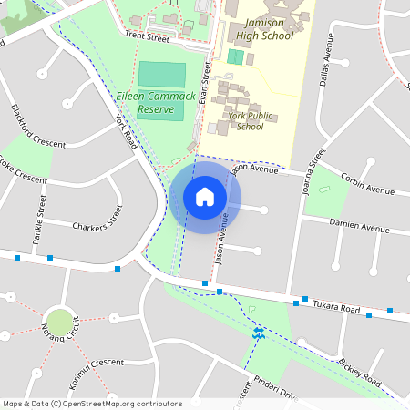 29 Jason Avenue, NSW 2750, South Penrith