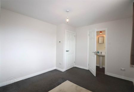 20 Laurelwood, Lower Ballinderry, Antrim, BT28 2GQ - Photo 4
