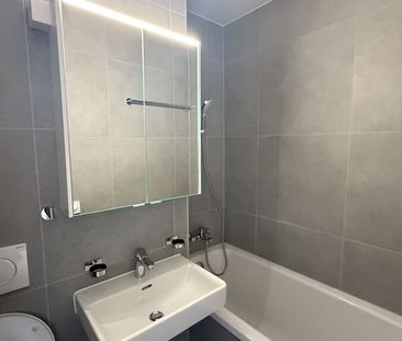 A louer logement rénové de 2 pièces - Foto 3