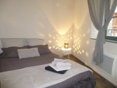 Location Appartement 1 pièce 29m² LE PUY EN VELAY 43000 - Photo 3