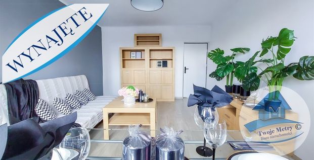 Włocławek Mieszkanie na wynajem - Zdjęcie 1