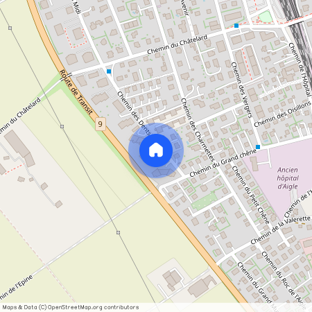 1860, Aigle, Chemin Des Dents Du Midi, 54c