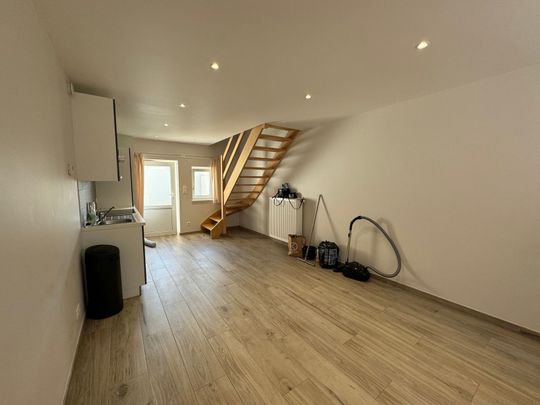 Instapklare woning met 1 kamer en terras - Foto 1