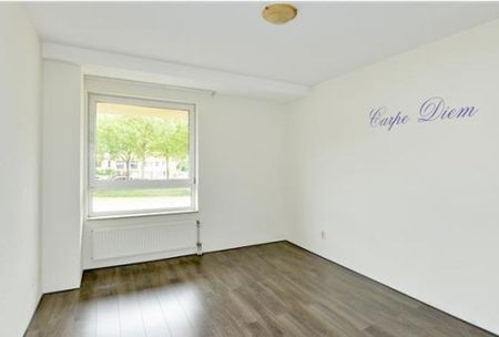 Apartment Rotterdam - Lotustuin - Foto 2