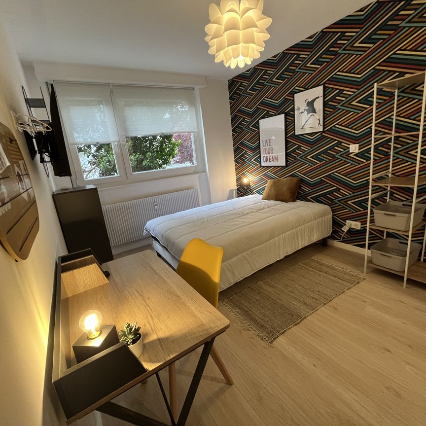 COLMAR C Roommate 4 Bedrooms at Strasbourg - Photo 1
