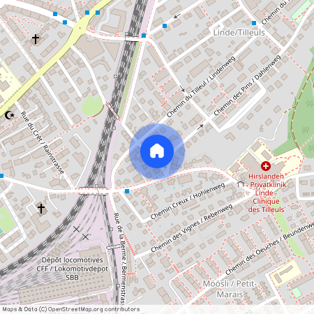 2503, Biel, Chemin Des Pins / Dählenweg, 1