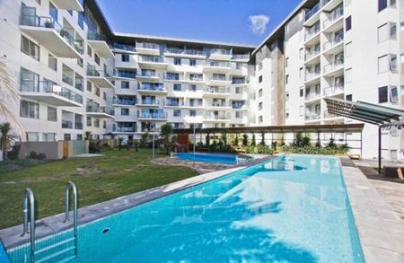 THE AVENUE - Photo 5