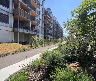 Rheincity Buchs / helle 4.5 EG Zimmerwohnungen an optimaler Lage - Foto 6