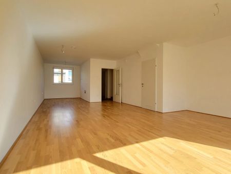 Erstbezug! Gefördertes Reihenhaus mit Terrasse und Garten, Top 17B - Foto 4