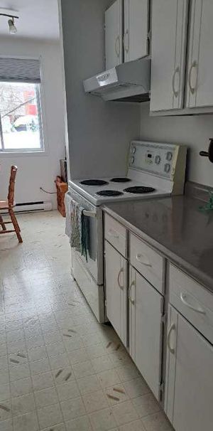 4 1/2 lévis centre-ville UQAR, CFP lévis - Photo 1
