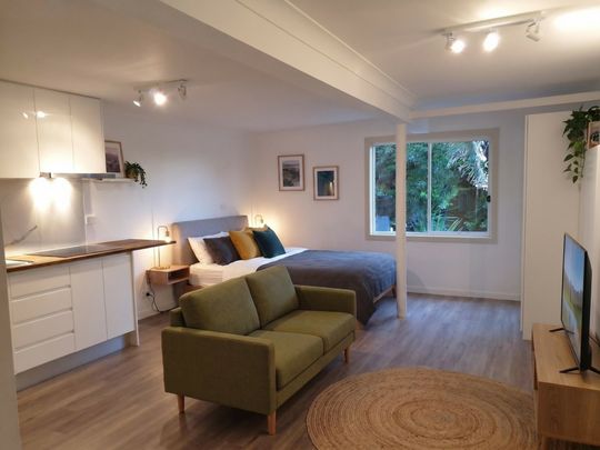 STUDIO APARTMENT - Photo 1