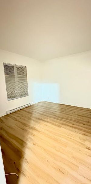 Duplex Lumineux à louer - Photo 1