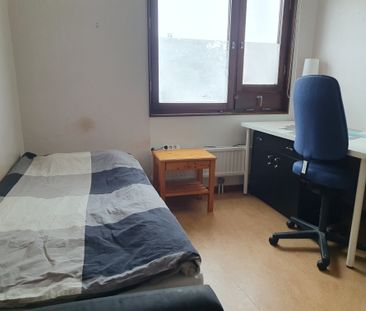 Bröderna Berwalds väg, Uppsala - Foto 3