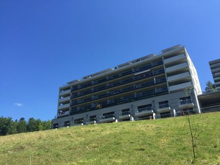 Superb bright 2.5 room duplex in Belmont-s/Lausanne - Foto 2